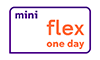 Mini-flex-icons-100x6-1D-en.png