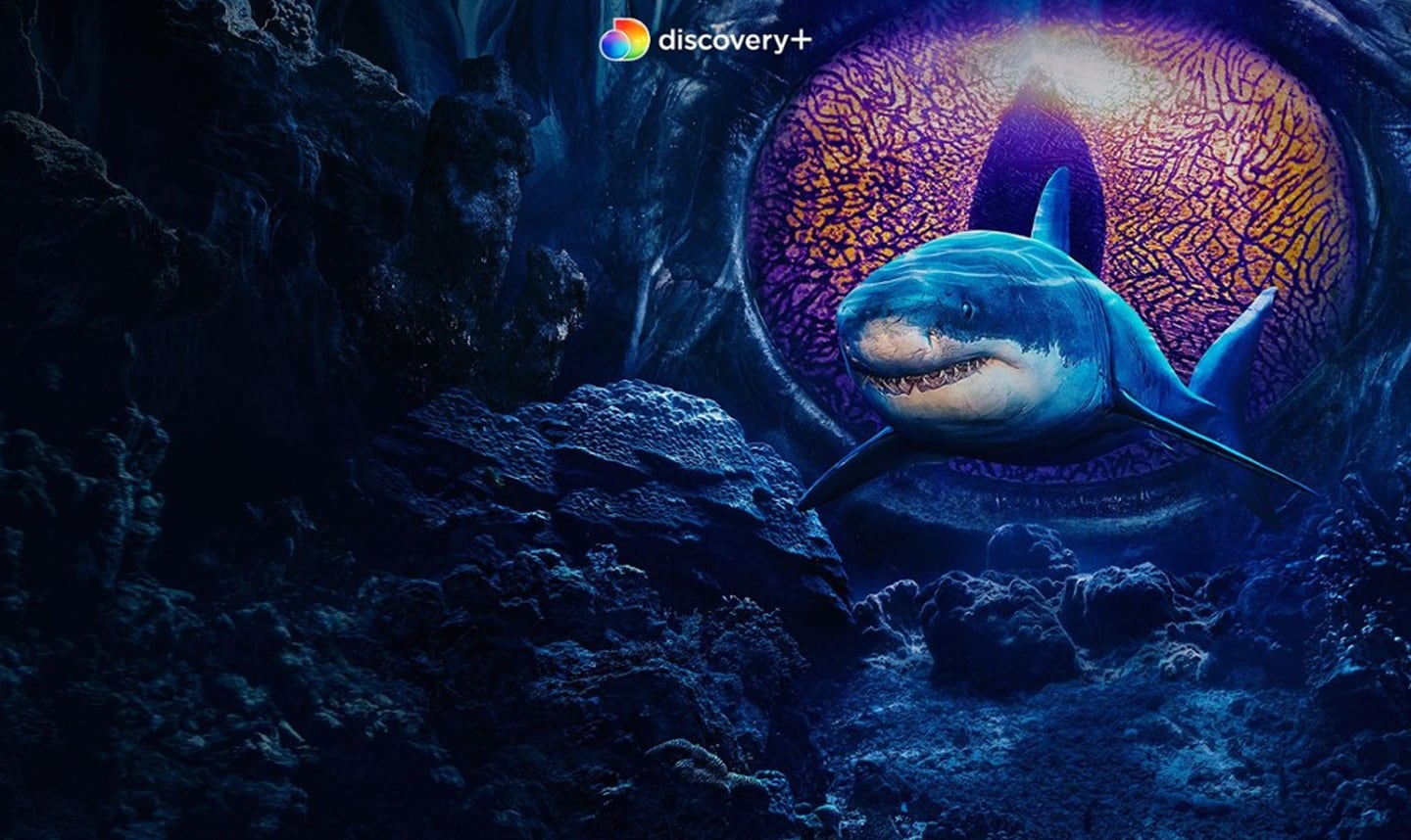 One platform for all documentaries