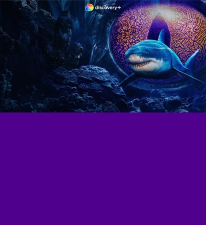 One platform for all documentaries