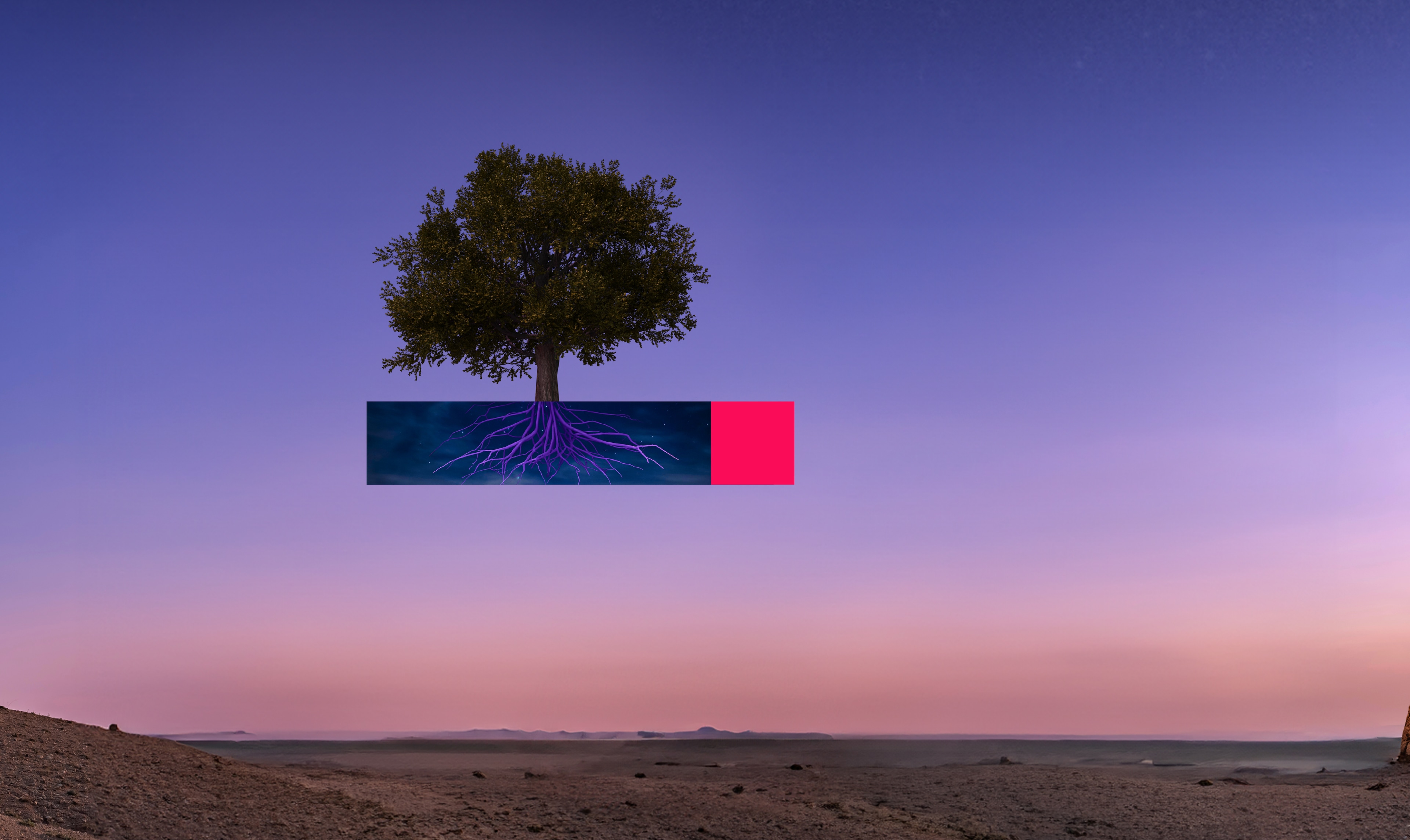 اساس الاتصال العالمي