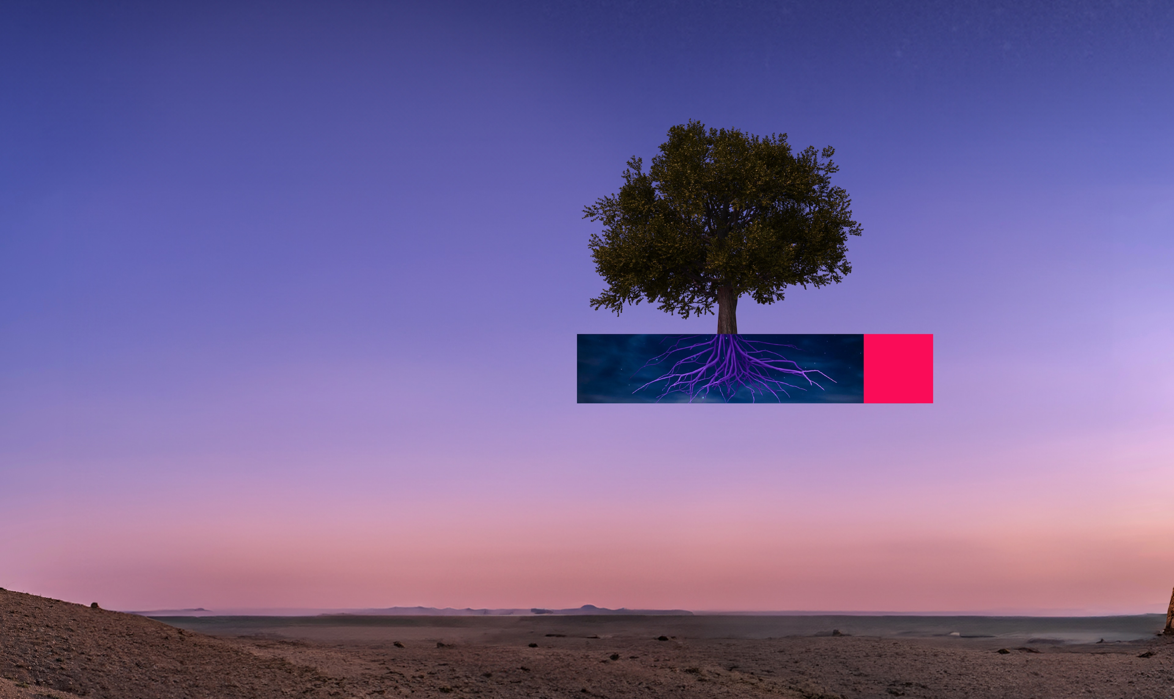 the root of global connectivity